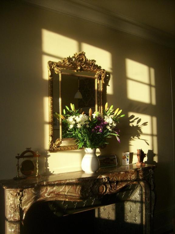 Les Fleurons B&B Amboise Zewnętrze zdjęcie